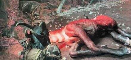 《遗迹2》心痕收集位置最新介绍2024