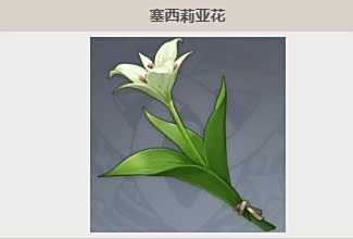 《原神》塞西莉亚花分布最佳采集路线推荐