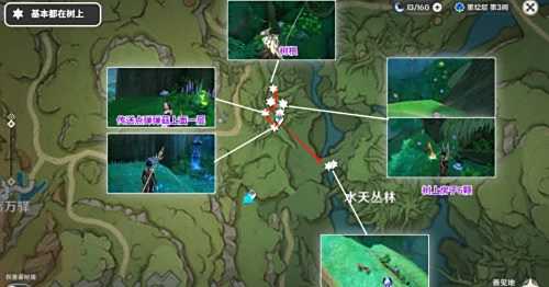 《原神》树王圣体菇最佳采集路线分享