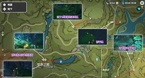 《原神》树王圣体菇最佳采集路线分享