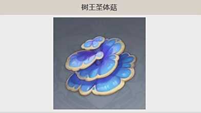 《原神》树王圣体菇最佳采集路线分享