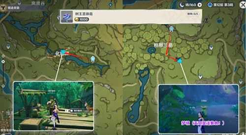 《原神》树王圣体菇最佳采集路线分享