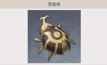 《原神》圣金虫采集位置及最佳路线介绍