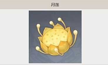 《原神》月莲最新位置分布及采集路线分享