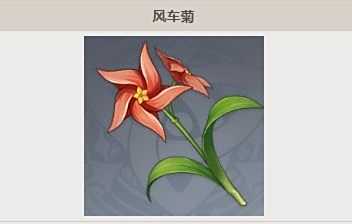 《原神》风车菊收集路线及分布位置介绍