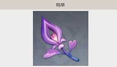 《原神》鸣草位置分布及采集路线攻略