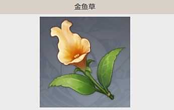 《原神》金鱼草采集位置及采集路线分享