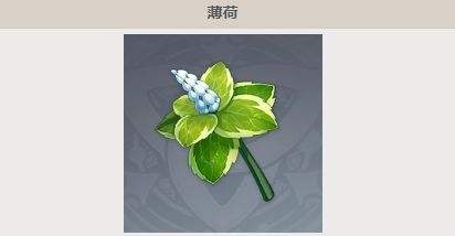 《原神》薄荷分布位置及最佳采集路线攻略