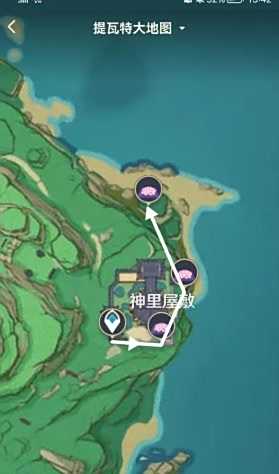 《原神》绯樱绣球最佳采集路线分享