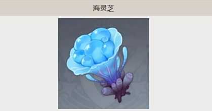 《原神》海灵芝最佳采集路线分享2024