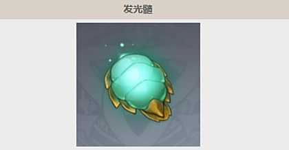 《原神》萤火虫分布位置及捕捉路线分享