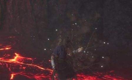 《黑神話悟空》火棗在哪采集 火棗分布最密集位置介紹