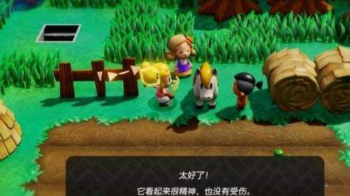 《塞爾達傳說智慧的再現》英帕的贈禮圖文攻略詳解