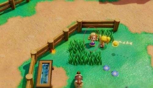 《塞爾達傳說智慧的再現》英帕的贈禮圖文攻略詳解