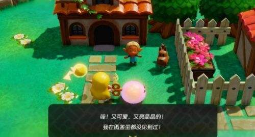 《塞爾達傳說智慧的再現》發現新泥怪任務圖文攻略